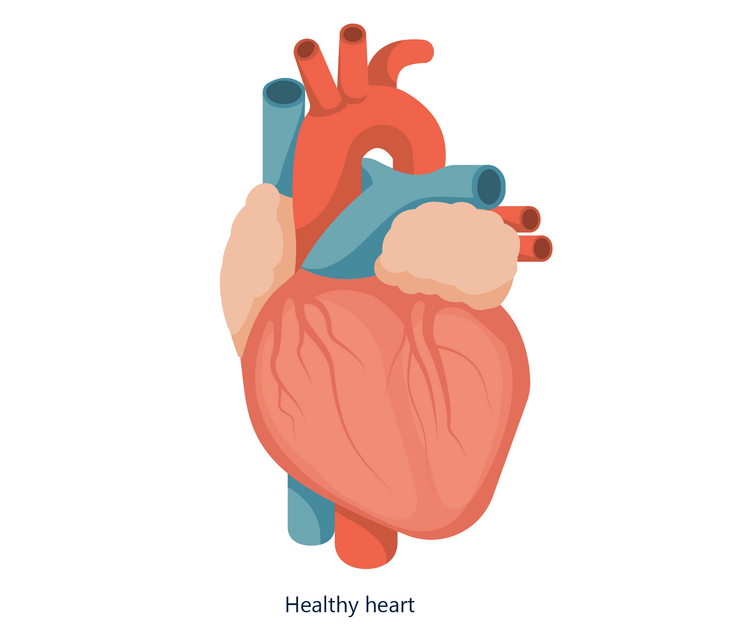 Heart attack hearts 01